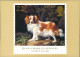 Ansichtskarte  KING CHARLES SPANIEL (Hund, Briefmarken-Motiv England) 1991 - Chiens