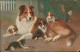 Ansichtskarte Hund Hunde Mit Katzen Künstlerkarte 1918  Feldpost Gelaufen - Chats