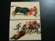 LOT DE 6 CARTES POSTALES SUR LE THEME DE LA CORRIDA - Stierkampf