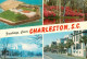 72772565 Charleston_South_Carolina Fliegeraufnahme Park Strasse  - Altri & Non Classificati