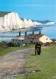 72769282 Seaford Lewes The Seven Sisters Kliffkueste  - Autres & Non Classés