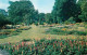 72762795 Diss Bressingham Hall Gardens  - Sonstige & Ohne Zuordnung