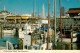 72759398 San_Francisco_California Fishermans Wharf  - Altri & Non Classificati