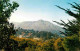 72756845 San_Rafael_California Mount Tamalpais  - Sonstige & Ohne Zuordnung