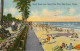 72754186 Palm_Beach Beach Scene  - Altri & Non Classificati