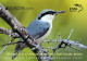 GREECE- GRECE- HELLAS 2019: Europa 2019 Birds  Se Tenant - Horizontally Imperforate Complet  Booklet MNH** - Nuevos