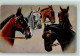 10123308 - T.S.N. Serie 1129 (6 Dress.) - Horses