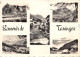 74-TANINGES-N°T561-C/0105 - Taninges