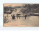 L'ILE BELON : Inondations De La Marne, Janvier 1910 - Très Bon état - Autres & Non Classés