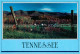 72706864 Tennessee Panorama  - Altri & Non Classificati