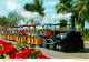 72687265 Key_West Conch Tour Train - Other & Unclassified