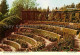 72665925 Berkeley_California Municipal Rose Gardens - Other & Unclassified