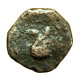 Ancient Greek Coin Uncertain Sicily? AE12mm Athena / Swan? 04120 - Griekenland
