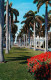 72662910 Florida_US-State Avenue Of Magnificient Royal Palms - Sonstige & Ohne Zuordnung