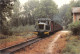 41-PRUNIERS EN SOLOGNE-TRAIN DE MARCHANDISE-N°T570-B/0113 - Autres & Non Classés