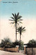 R299821 Bermuda. Coconut Palms. Yankee Store And Bermuda Drug. No. 4 - Wereld