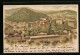 Lithographie Karlsbad, Panorama  - Tchéquie