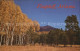 72584281 Flagstaff Arizona Autumn And San Francisco Peaks Flagstaff Arizona - Sonstige & Ohne Zuordnung