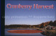 72555737 Cape Cod Mass. Cranberry Harvest Cape Cod Mass. - Autres & Non Classés