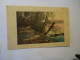 ITALY POSTCARDS  LANDSCAPES  GREETING - Other & Unclassified