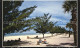 72504658 Treasure Island White Sand Beach Gulf Of Mexico Treasure Island - Autres & Non Classés