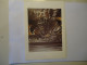 FRANCE   POSTCARDS  UZES L'ART MATURE   BRUNO CARRIER LE RAIL  PAINTINGS - Other & Unclassified