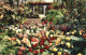 72482916 San_Diego_California Rosecroft Begonia Gardens - Autres & Non Classés