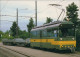 Verkehr & Eisenbahn: Verkehrsbetriebe Zürich (VBZ) Bhf. Stettbach 1996 - Trains