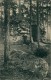 Postcard Wehrau Osiecznica Grotte Schlesien 1913 - Schlesien