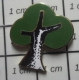 912c Pin's Pins / Beau Et Rare / AUTRES / ARBRE VERT AVEC TRONC NOIR ET BLANC - Altri & Non Classificati