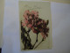 PORTUGAL   POSTCARDS  GREETING 1909 - Souvenir De...