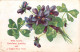 R329509 With Hearty Christmas Greetings And Bright New Year. Blue Flowers. Ser. - Welt