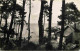 17 - Ronce Les Bains - Forêt-Plage - Mention Photographie Véritable - Carte Dentelée - CPSM Format CPA - Voir Scans Rect - Sonstige & Ohne Zuordnung