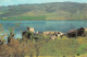 R333302 Urquhart Castle. Loch Ness. PT36420 - World