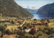 72458926 Norwegen Norge Arnafjord Sogn Norwegen - Norvegia