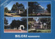 72456702 Biloxi Historic Grass Lawn Magnolia Museum Beauvoir Jefferson Davis Shr - Sonstige & Ohne Zuordnung