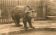 Animaux - Ours - Anvers Jardin Zoologique - Ours Brun - Zoo - Bear - CPA - Carte Neuve - Voir Scans Recto-Verso - Ours