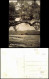 Ansichtskarte Übersee (Chiemgau) 2 Bild Haus, Feldwies 1959 - Other & Unclassified