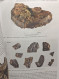 Surrey Archaeological Collection --- Volume 97 - 2013 - Archeology