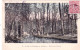 75 - PARIS 16 -  Le Bois De Boulogne - La Mare Aux Biches - District 16