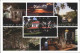 72179130 Fort_Myers Edison Ford Winter Estates - Andere & Zonder Classificatie