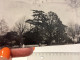 Snapshot 1950 Homme, Femme, Assis Sur Un Banc Au Parc De La Tête-d’Or à Lyon - Personas Anónimos