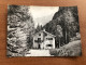 DOLOMITI PRIMIERO ( TRENTO ) IL RIFUGIO FONTEGHI IN VAL NOANA 1965 - Trento