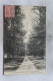 Cpa 1905, Le Neubourg, Grande Avenue Du Champ De Bataille, Eure 27 - Le Neubourg
