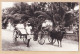 01051 ● CEYLON Rickshaw And Bullock Hackery Voiture à Bras Et à Buffle 1920s Sri-Lanka Ceylon PLÂTE 41 - Sri Lanka (Ceylon)