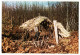 01217 / Dordogne Perigord Metier Artisanat LE FEUILLARDIER Au TRAVAIL Artisan Du PANIER 1975s - RENE Marsac Isle Cpag - Sonstige & Ohne Zuordnung