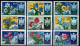 San Marino 1953 - Mi.Nr. 503 - 511 - Postfrisch MNH - Blumen Flowers - Siehe Beschreibung - Andere & Zonder Classificatie