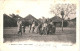 CPA Carte Postale Sénégal Dakar Dans Un Village 1904  VM80730ok - Senegal