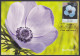 Inde India 2013 Maximum Max Card Blue Poppy, Flower, Flowers, Flora - Lettres & Documents