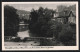 AK Tanne /Harz, An Der Bode, Blick Zum Jägerborn  - Sonstige & Ohne Zuordnung